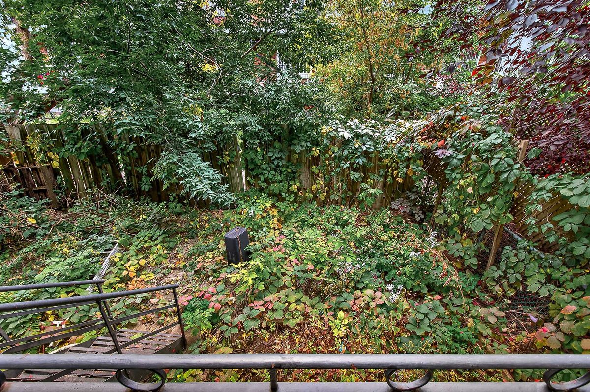 7540 Av. des Érables — photo 16
