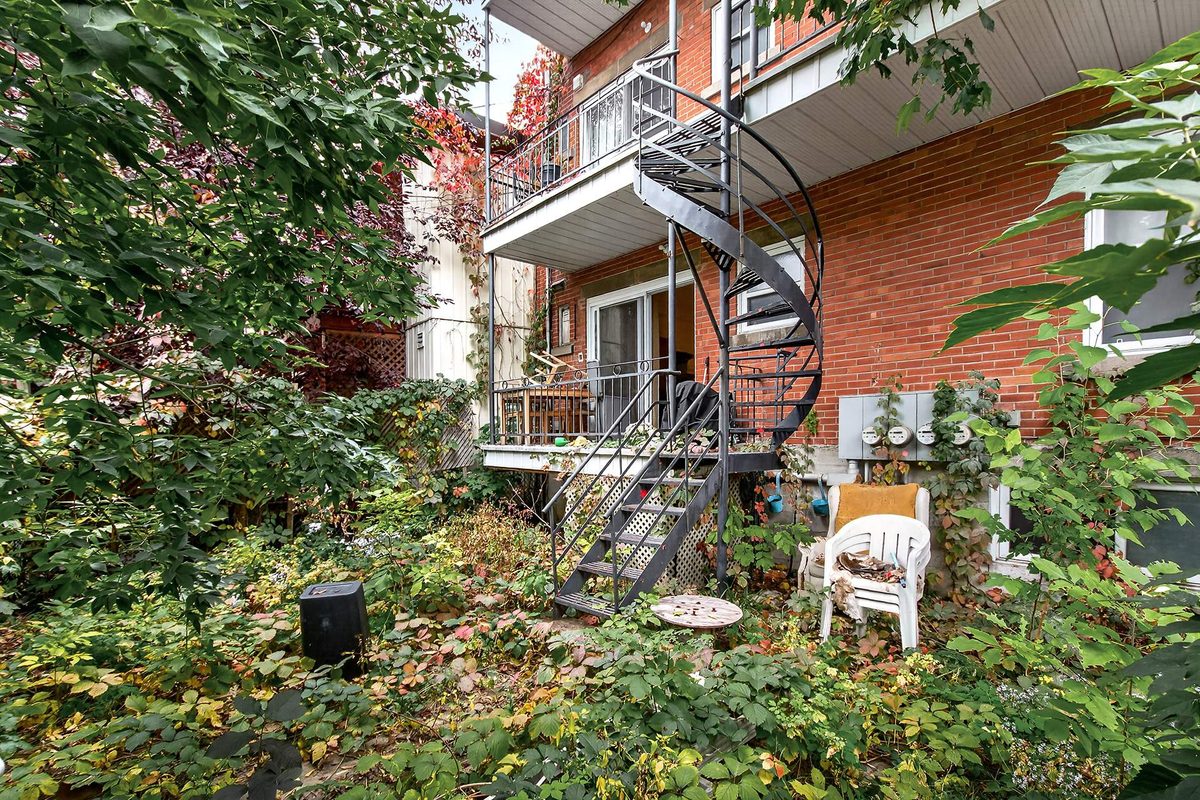 7540 Av. des Érables — photo 17