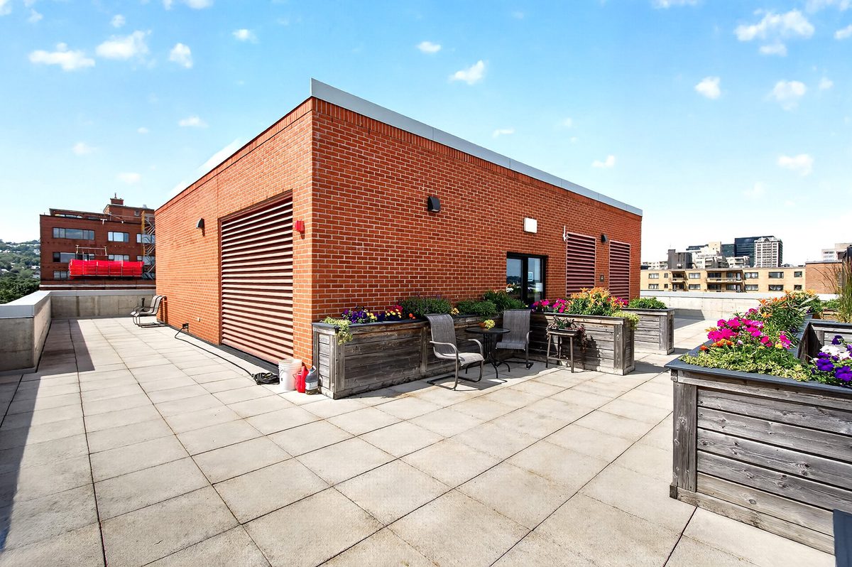 175 Av. Metcalfe, apt. 410 — photo 35