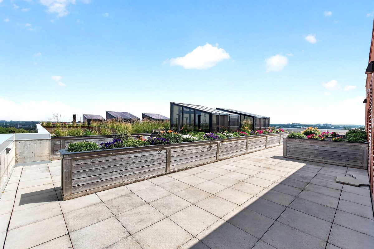 175 Av. Metcalfe, apt. 410 — photo 36